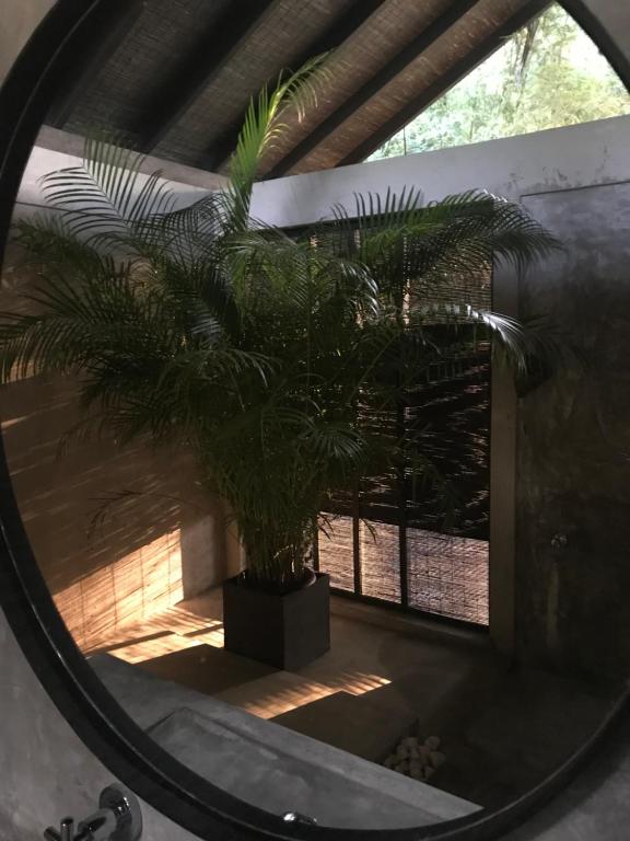 KAJU GREEN eco lodges - 9