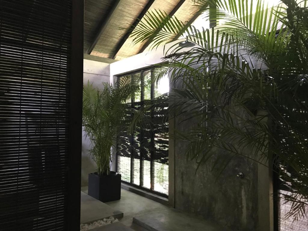 KAJU GREEN eco lodges - 6