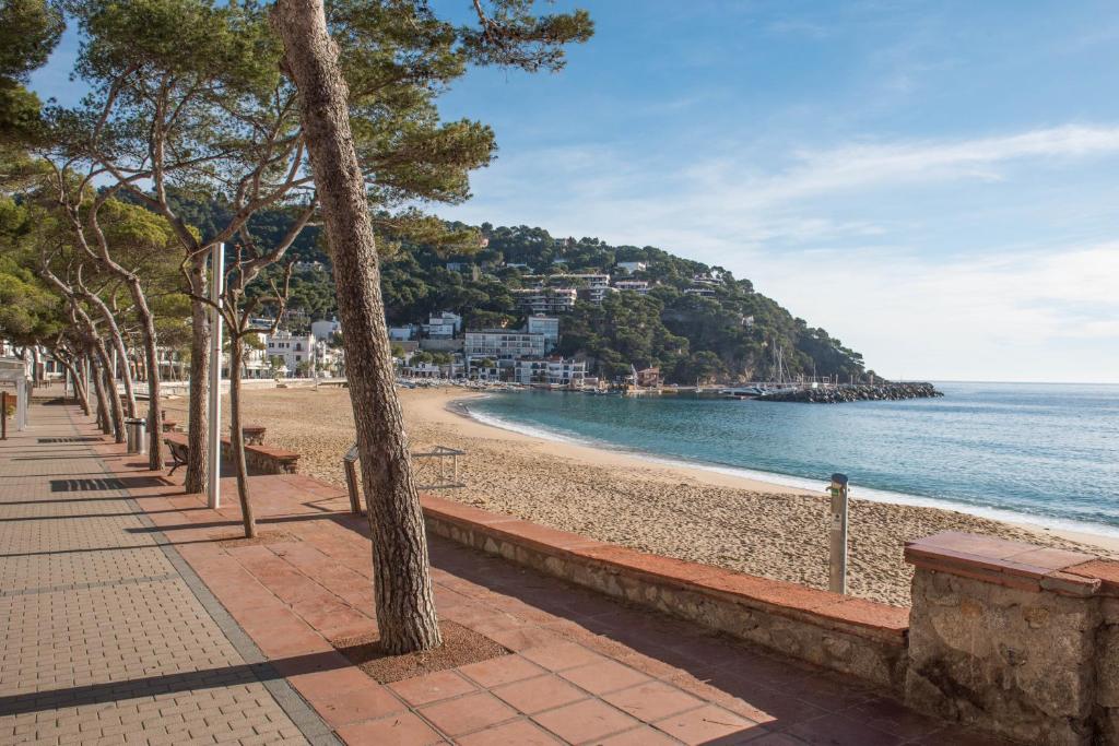 una playa con una fila de árboles y el océano en Apartamentos Llafranc Mar, en Llafranc