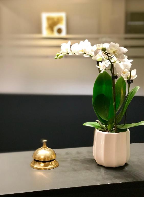 Hotel Jardin Bern photo
