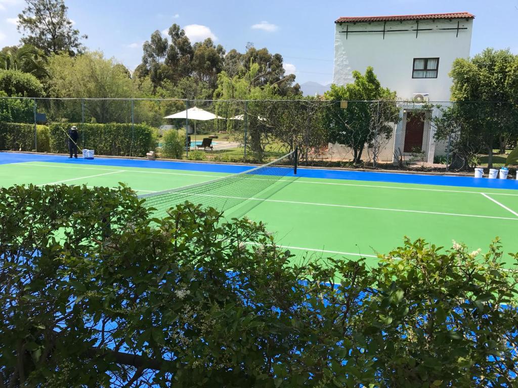 Tenis a/nebo squash v ubytování Vine Guesthouse nebo okolí