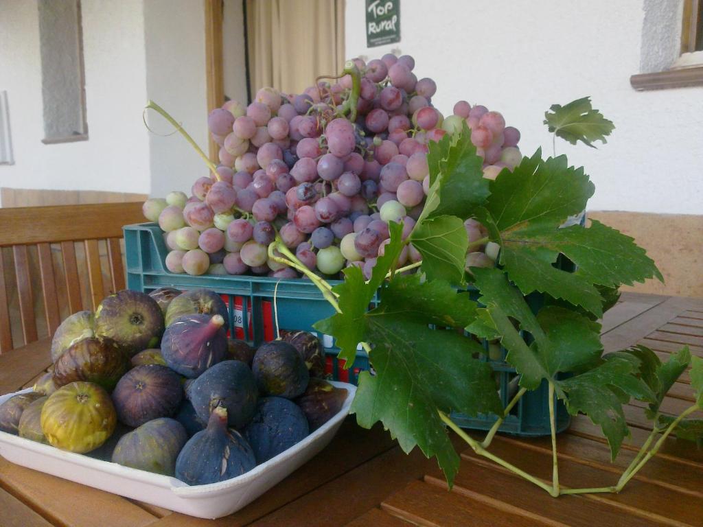 Comida en o cerca of this country house
