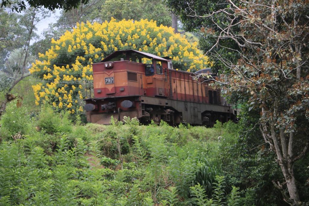 Zahrada ubytování Train View Chalet