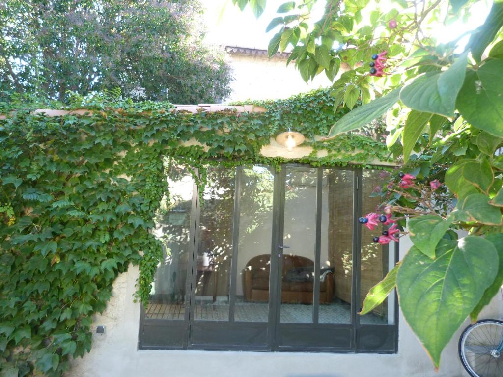 a room with a window and some ivy at La Summer House avec Jardin in Arles