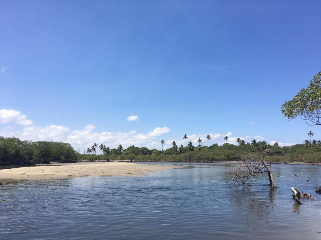  Beach Class Eco Life