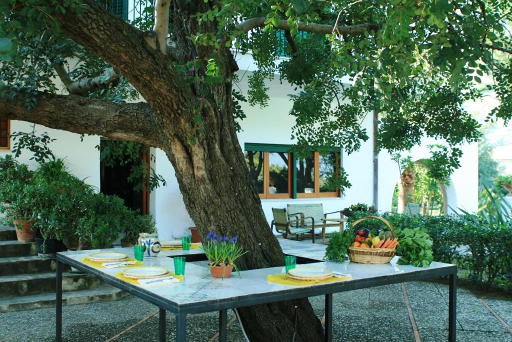 a table sitting under a tree in a yard at Casa del carrubo in Carini