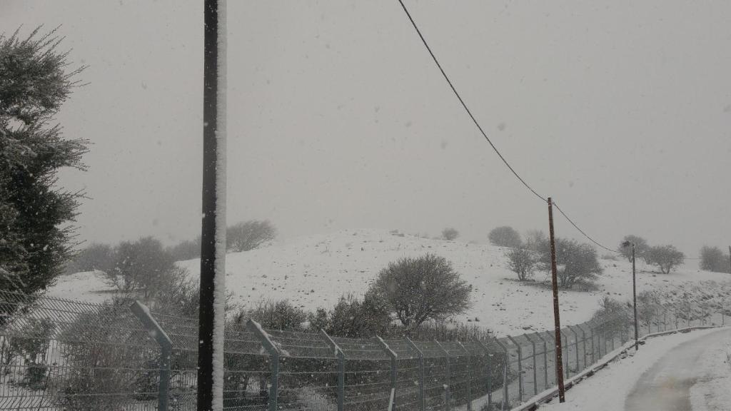 מקום בצפון הגולן - A place in the northern Golan Heights v zimě