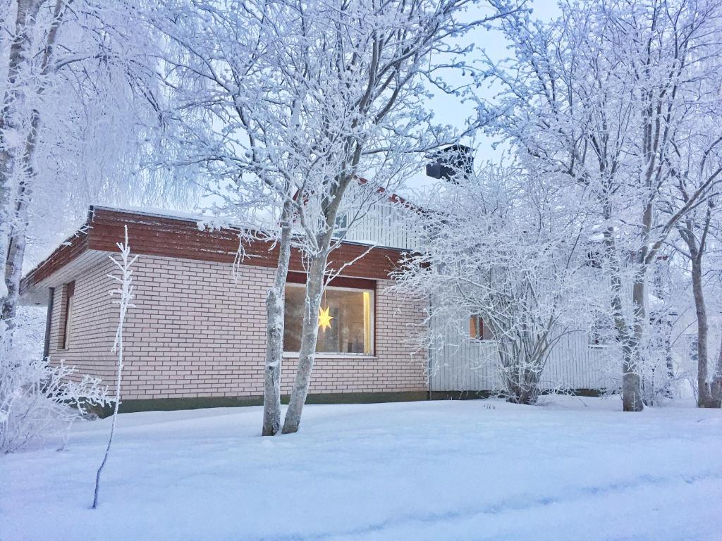 a house covered in snow with trees in front of it at Villa Aini in Rovaniemi