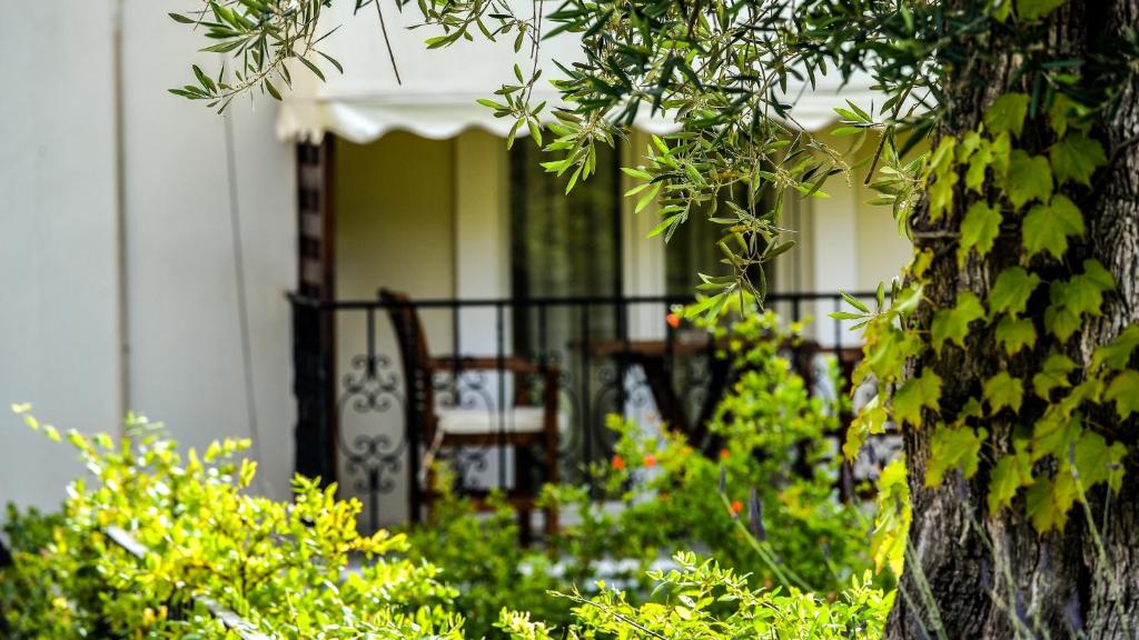 Paxos Club Resort & SPA - 6