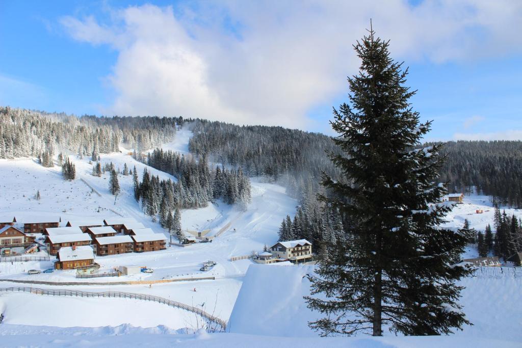 Alpengasthof Tanzstatt v zimě