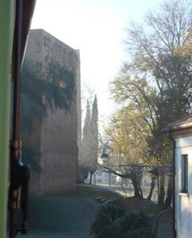 Vonkajšia záhrada v ubytovaní Ca' degli Armati