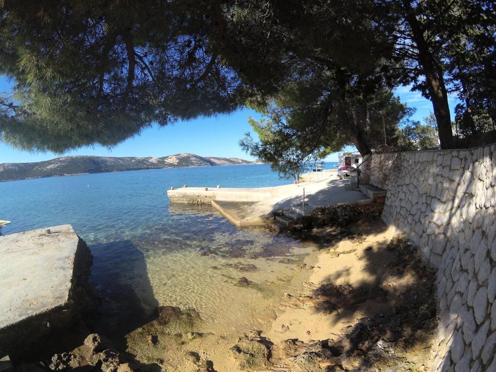 a view of a body of water with a tree at Novalja Apartments in Stara Novalja