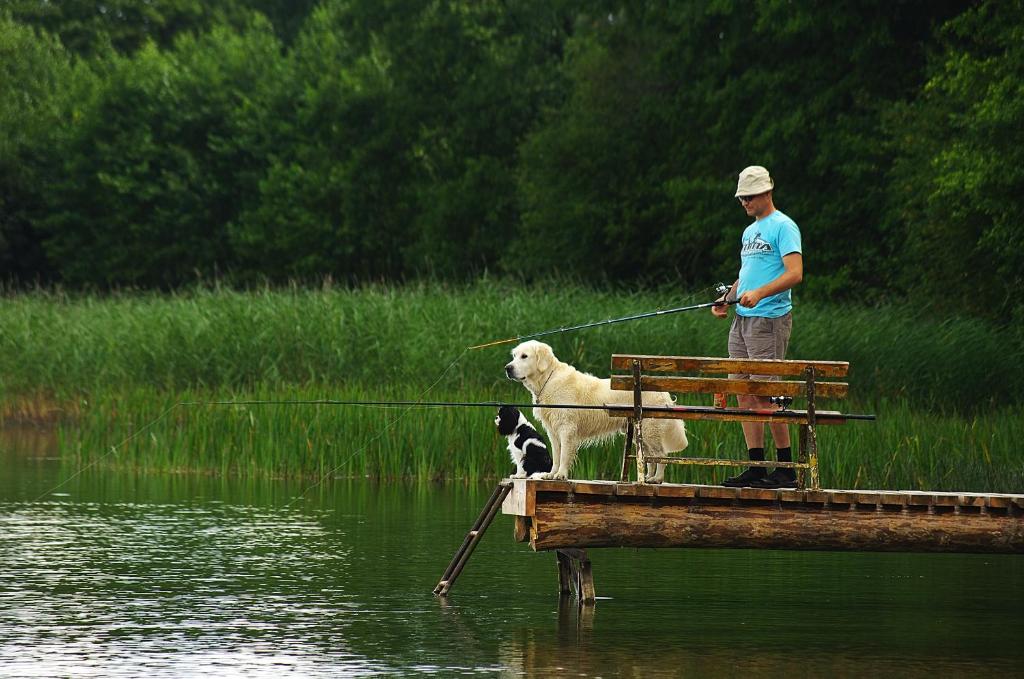 un homme debout sur une jetée avec un chien sur un bateau dans l'établissement Latkrantė, à Latežeris