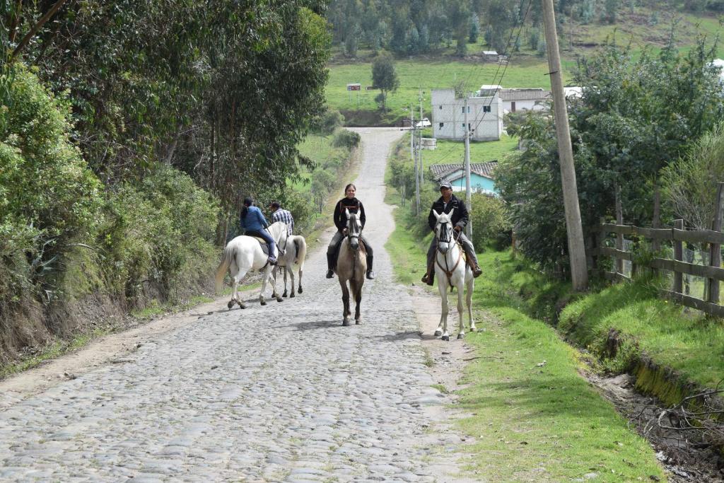 un grupo de gente montando caballos por un camino de tierra en Casa de Campo, en Cayambe