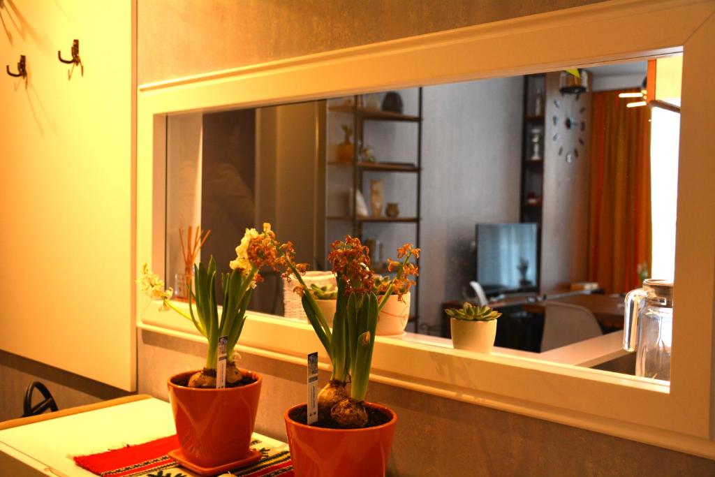 Central Luxury Apartment في تيرانا: مرآة وبعض النباتات في الأواني على منضدة