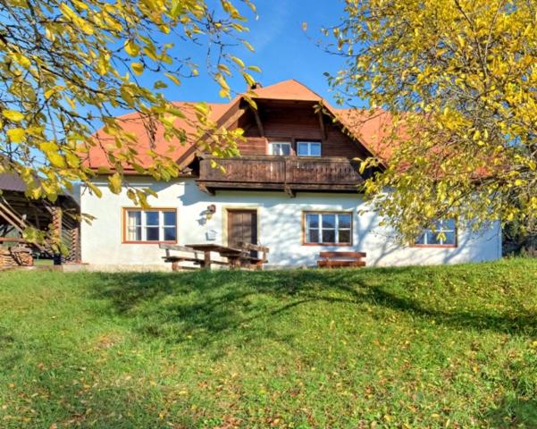 dom z drewnianym dachem na dziedzińcu w obiekcie Ferienhaus Goldberg w mieście Dellach