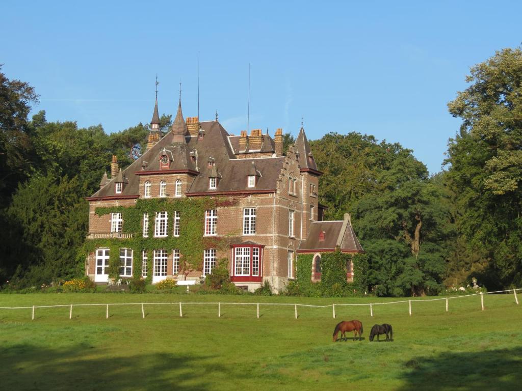 two horses grazing in a field in front of a castle at Gîte du Châtelet in Villers-la-Ville