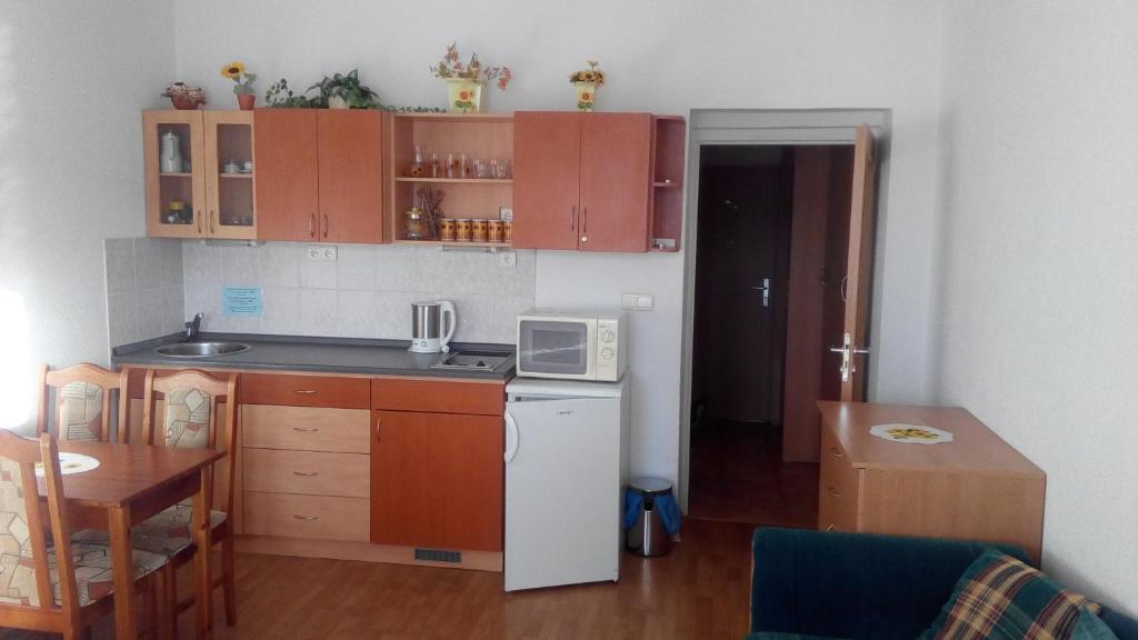 a small kitchen with a refrigerator and a microwave at Almet, apartmánove štúdio 205 in Donovaly
