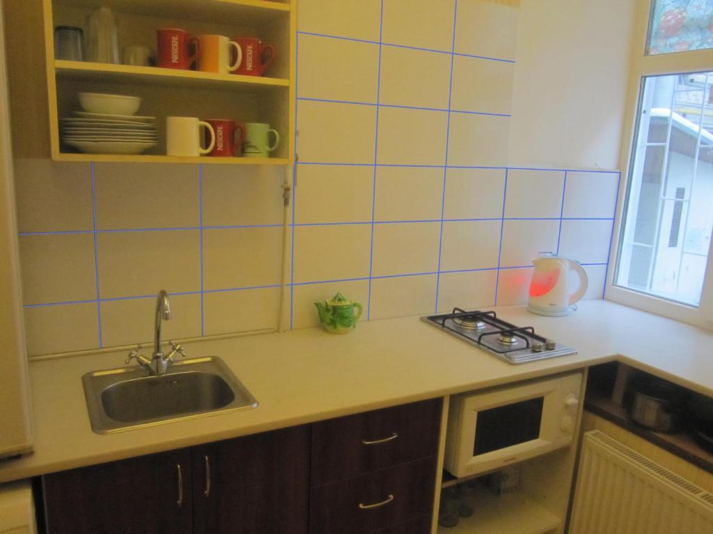 Kuchyň nebo kuchyňský kout v ubytování Yaroslav Hostel