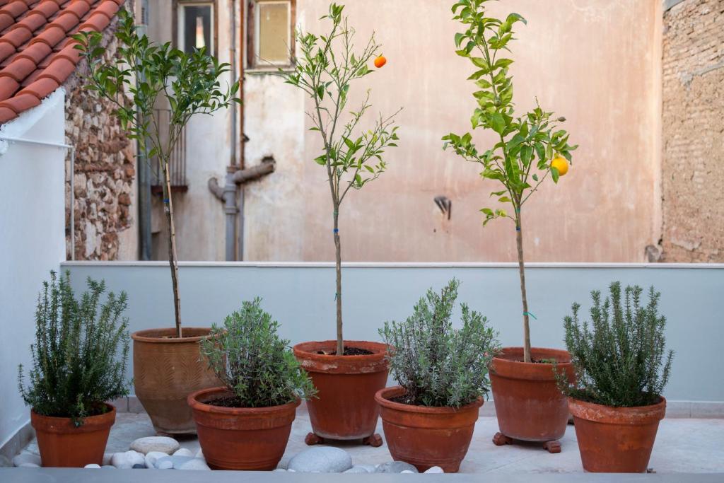 Auntie’s Home - 15