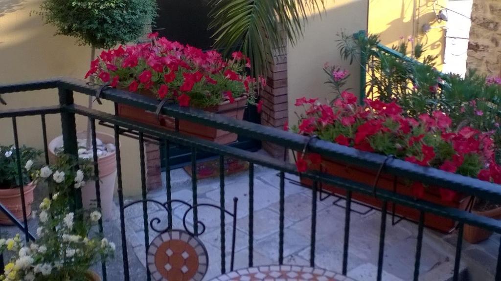 B&B Il Belvedere - Junior Suite With Terrace