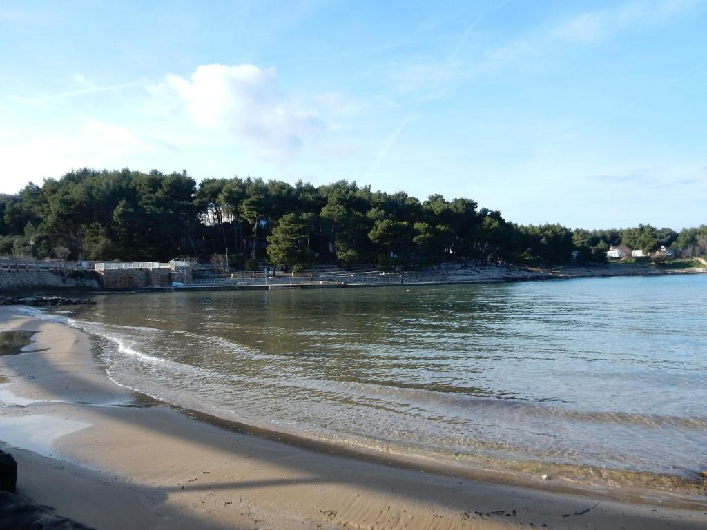 a beach with water and trees in the background at Villa Riva in Jelsa