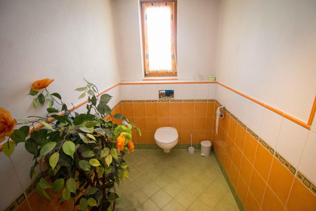 Kúpeľňa v ubytovaní Penzion HACIENDA
