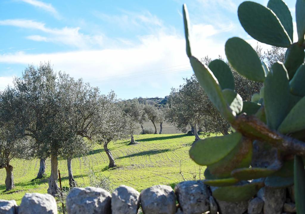a field with trees and a stone fence at Agriturismo Tenuta Carbonara in Balata di Modica