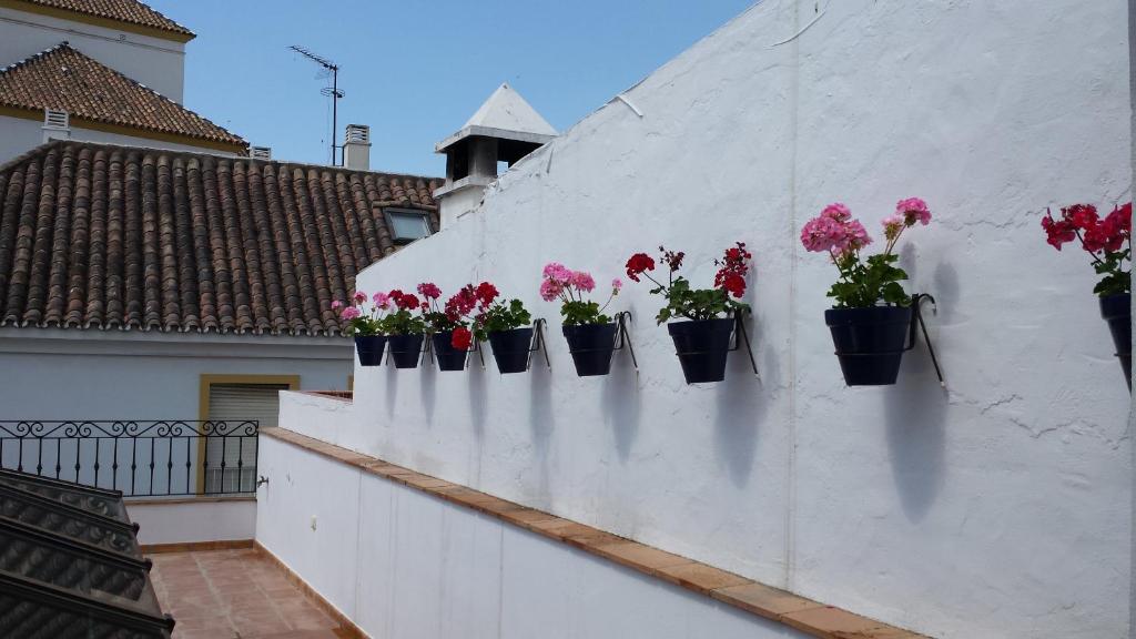 a group of flowers in flower pots on a wall at Hotel Boutique Casa Veracruz in Estepona