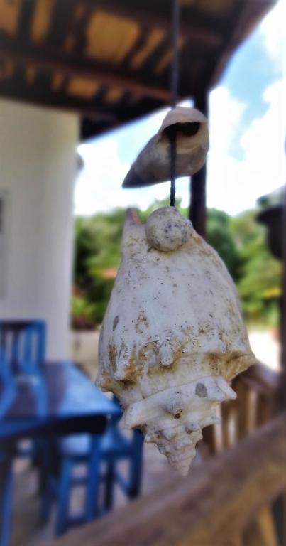 Fotografie z fotogalerie ubytování Zamunda Garden View v destinaci Tulum