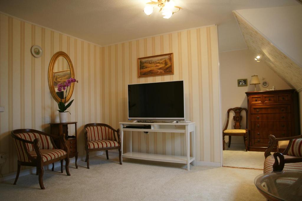 TV a/nebo společenská místnost v ubytování Apartment Elena