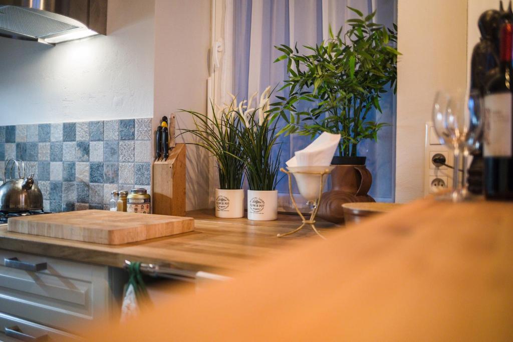 a kitchen with potted plants on a counter at Apartament Rynek Staromiejski in Toruń