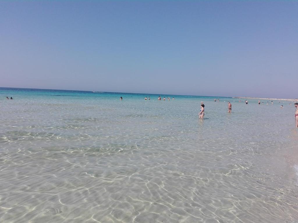 Táj Show holiday homes közelében