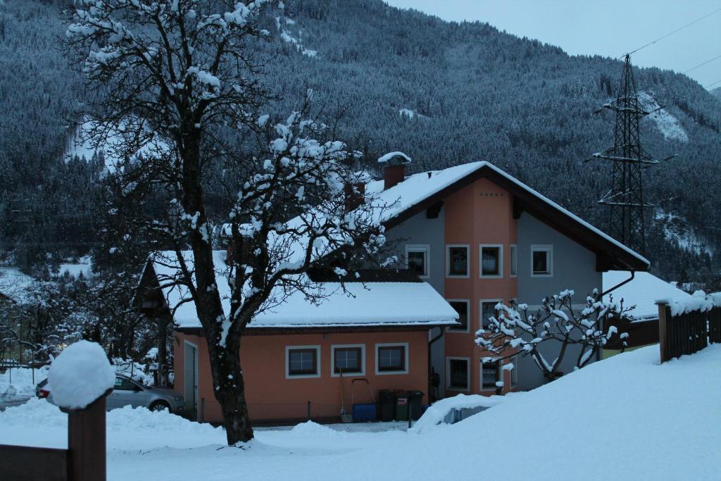 a house with a tree in the snow at Ferienwohnung CHRISTIANE in Flattach