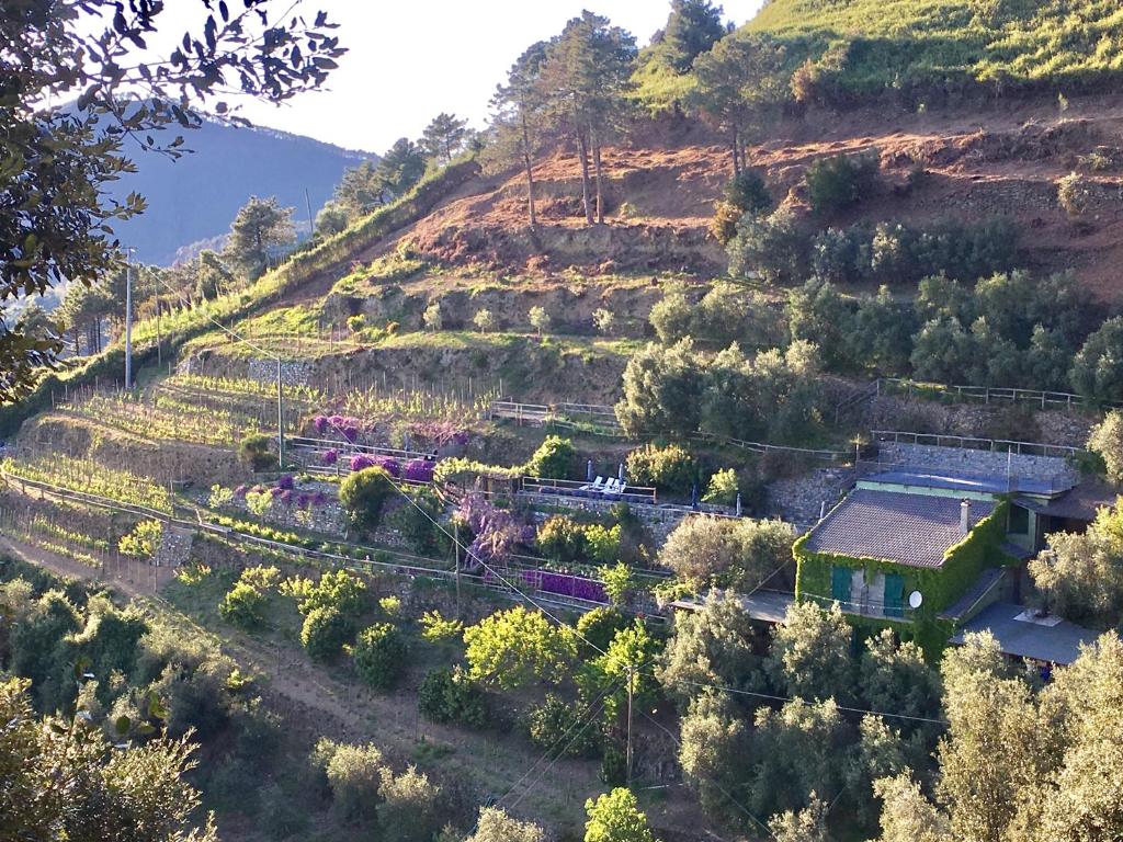 Villa Pietrafiore photo