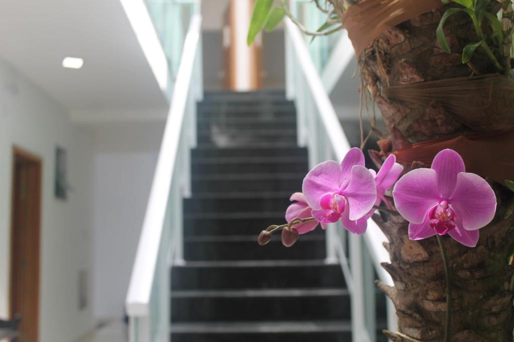  Pousada Orquideas de Maria