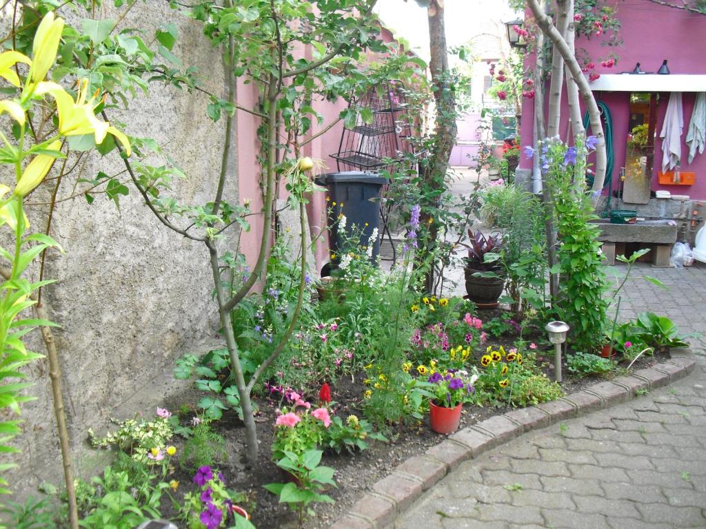 La Baraque – photo 13