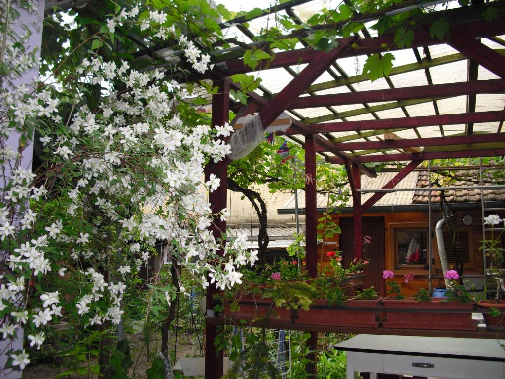 La Baraque – photo 11