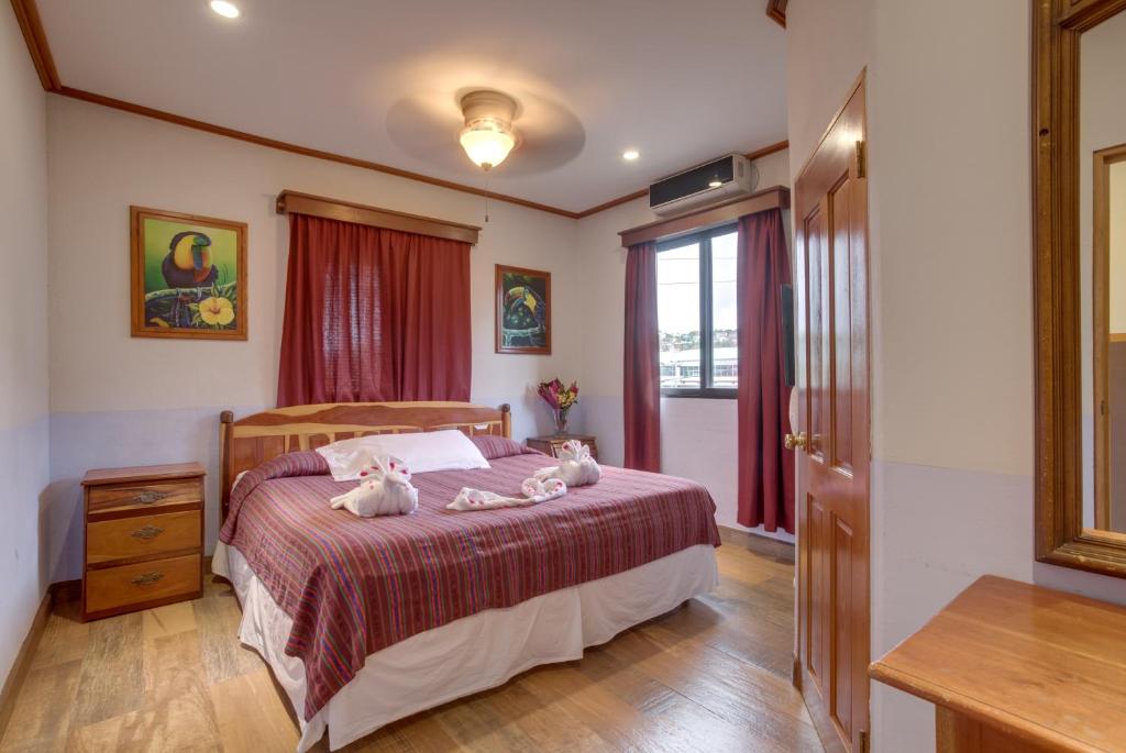 a bedroom with a bed with two cats laying on it at Venus Hotel in San Ignacio