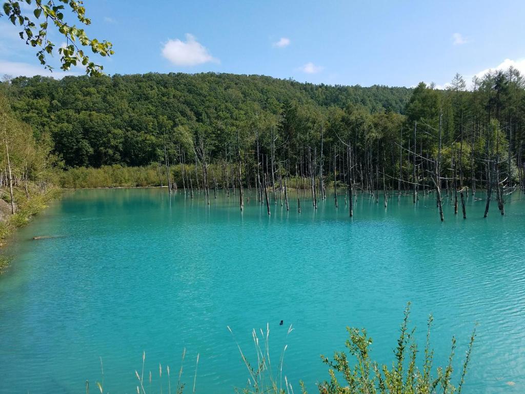 美瑛大雪山白金觀光酒店 21 年最新房價