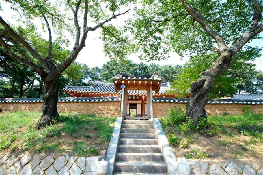 una scala che conduce a un edificio con due alberi di Wolamjae a Gyeongju