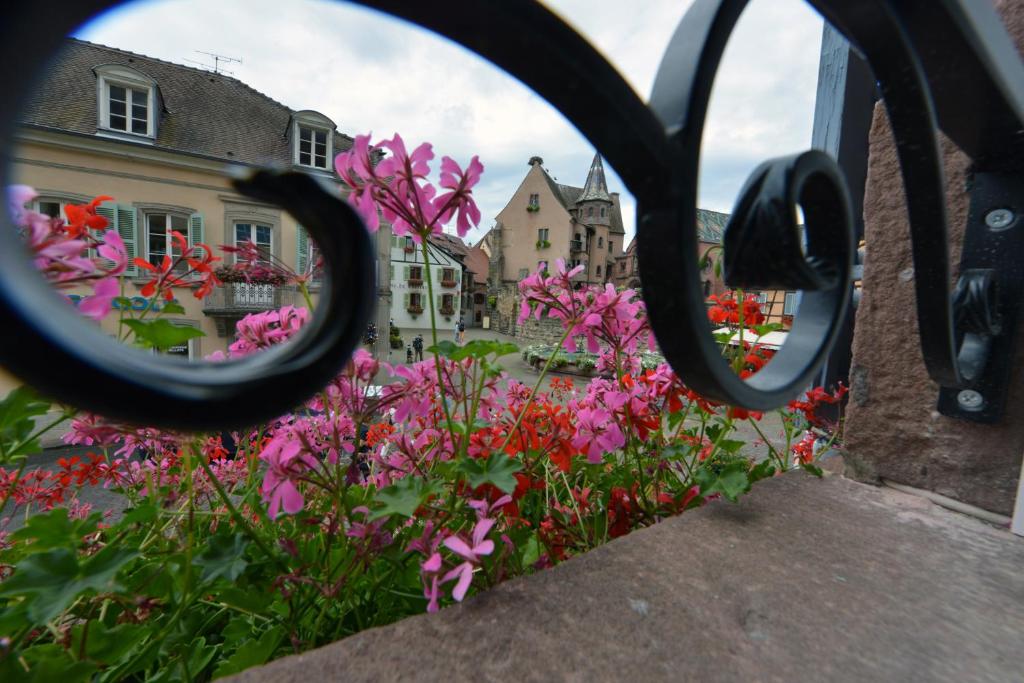 Gîtes Au Château Fleuri – photo 19