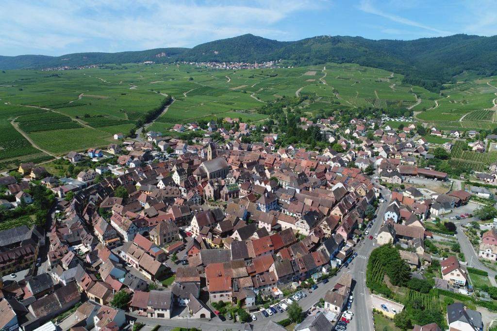 Gîtes Au Château Fleuri – photo 23
