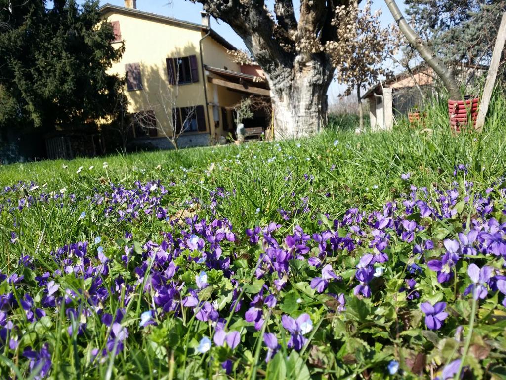Zahrada ubytování R&B Albero Cavo Parma