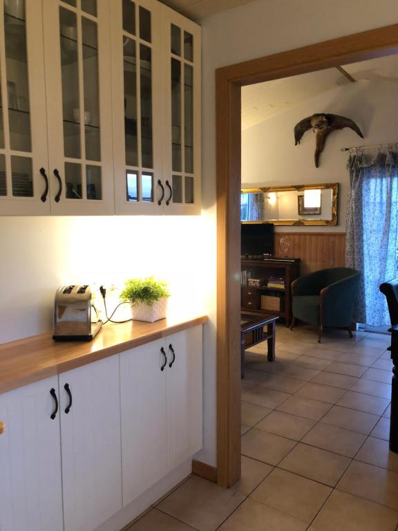 Kuchyň nebo kuchyňský kout v ubytování Eyjasol Cottages