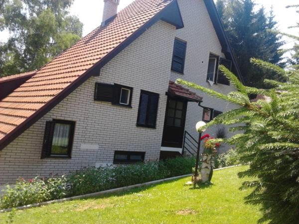 una casa bianca con finestre nere e un cortile di Vlasinski vrtovi a Vlasina Rid