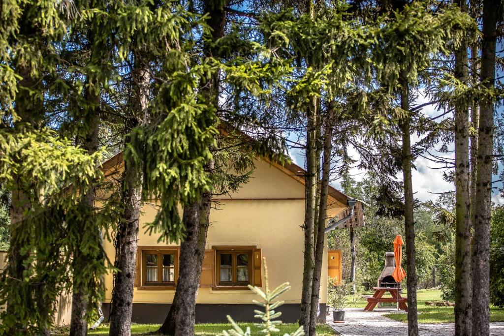 a house with trees in front of it at Török Vendégház in Jobaháza