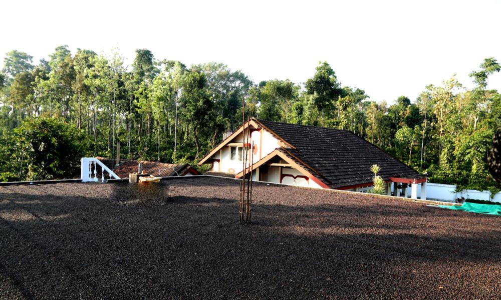 Laste mänguala majutusasutuses Coffee Native - A Family Homestay
