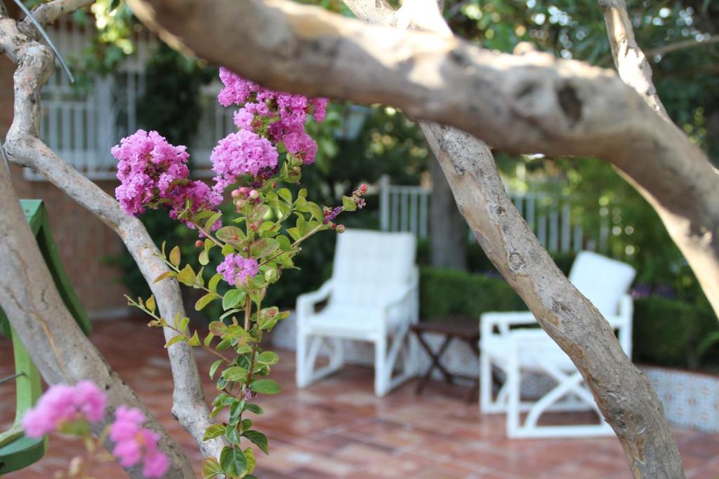 un árbol con flores rosas en un patio en El jardín de la abuela, en Granada