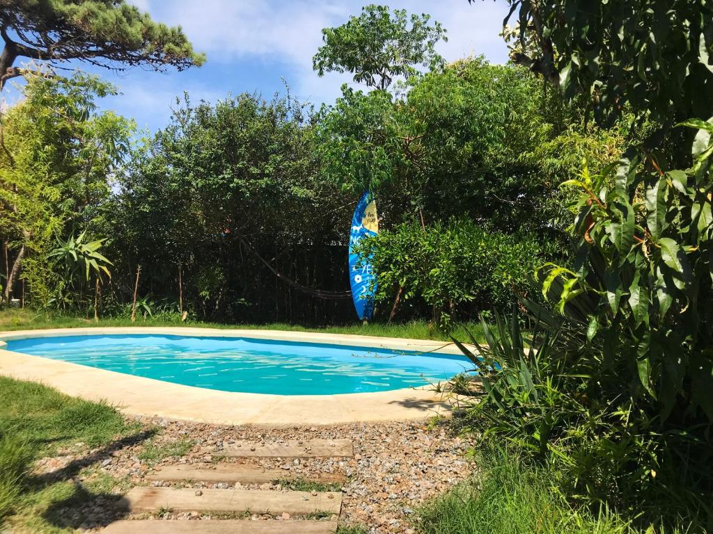 una piscina azul en un patio con árboles en Negrita Hostel, en Punta del Este
